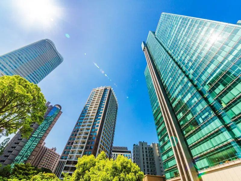 Glass skyscrapers reflecting sunlight and trees, ideal for professional cleaning services for office buildings.